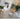 BOJI Takumi Elegant Bamboo Ceiling Lamp from BOJI