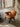 CAROCC Raoul Minimalist Solid Wood Leisure Chair from CAROCC