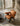 CAROCC Raoul Minimalist Solid Wood Leisure Chair from CAROCC