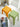 CHENGXIN HOME Islington Durable Stackable Stool from CHENGXIN HOME