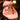 DANDELION Amaya Versatile Stylish Backpack from DANDELION