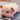 DANDELION Cordelia Cozy Soft Plush Pillow. from DANDELION