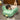 DANDELION Marisol Cozy Soft Winter Pillow from DANDELION