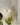 DESIGNER LIGHTING Andalusia Crystal Retro Modern Minimalistic Ceiling Lamp from DESIGNER LIGHTING