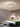 DESIGNER LIGHTING Isadora Sleek Ultra-Thin Ceiling Lamp from DESIGNER LIGHTING