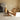 DISPLAY ASIANART Hiroshi Retro Solid Wood Lounge Chair from DISPLAY ASIANART