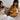 DISPLAY ASIANART Marigold Intricate Fulu Shouxin Pillow. from DISPLAY ASIANART