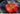 DISPLAY ASIANART Marisol Deluxe Handcrafted Tatami Futon from DISPLAY ASIANART