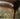 DISPLAY ASIANART Miyazaki Elegant Solid Wood Dining Chair from DISPLAY ASIANART