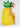 DUJIA Hoshiko Colorful Comfort Inflatable Swimming Ring from DUJIA