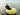 DUJIA IslaBona Lightweight Inflatable Kayak - Wear-Resistant, Air-Cushioned, Single-Person Rowing Boat. from DUJIA