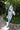DUJIA Marisol Fun Splash Dolphin Baby Swimming Ring from DUJIA