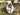 DUJIA Marisol Multifunctional Inflatable Sports Toy from DUJIA