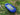 DUJIA Okabe Inflatable Flexible Swim Ring for Kids & Adults from DUJIA