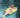 DUJIA Okabe Inflatable Flexible Swim Ring for Kids & Adults from DUJIA
