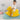 FANGQIAN Elysia Fun-Safe Swing Machine Toy from FANGQIAN