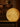 FANJI Juniper Warm Moonlight Atmosphere Lamp from FANJI