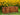 FIRST CLASS CARPENTER Marisol Elegant Natural Wood Planter from FIRST CLASS CARPENTER