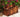 FIRST CLASS CARPENTER Marisol Elegant Natural Wood Planter from FIRST CLASS CARPENTER