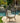 GAOPIN Mariposa Modern Rattan High-Back Chair Set from GAOPIN