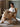 GENJI Aoyama Solid Wood Outdoor Chair Casual Elegance from GENJI
