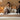 GENJI Miyamoto Solid Wood Nordic Double Bed - Luminous Oak Design from GENJI