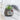 GUANQU Aveline Compact Decorative Table Plant Lamp from GUANQU