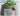 GUANQU Aveline Compact Decorative Table Plant Lamp from GUANQU