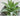 GUANQU Aveline Compact Decorative Table Plant Lamp from GUANQU