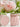 GUANQU Isolde Scandinavian Elegant Plant Lamp Decor from GUANQU