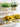 GUANQU Solene Bright Artificial Display Decorative Flowers from GUANQU