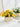 GUANQU Solene Bright Artificial Display Decorative Flowers from GUANQU
