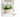 GUANQU Solene Bright Artificial Display Decorative Flowers from GUANQU