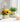 GUANQU Solene Bright Artificial Display Decorative Flowers from GUANQU