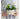 GUANQU Solene Bright Artificial Display Decorative Flowers from GUANQU