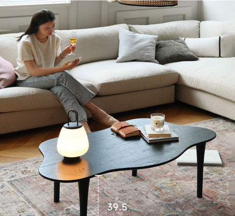 HANKE Santiago Sleek Minimalist Black Coffee Table from HANKE