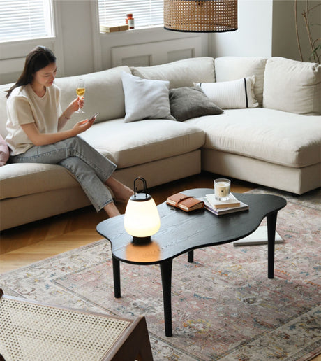HANKE Santiago Sleek Minimalist Black Coffee Table from HANKE