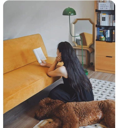 HANKE Thoreau Retro Multifunctional Sofa Bed from HANKE