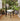 HERZZI CANTERBURY Elegant Vintage Ashwood Dining Chair from HERZZI