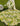 TEXDREAM 3D French Wonderland Garden from maija