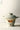 JOTO Akihabara Elegant Resistant Ceramic Casserole from JOTO
