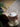 JOTO Ayumi Handcrafted Striped Glass Coffee Cup from JOTO