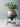 JOTO Caspian Unique Nordic Flower Pot Basin from JOTO