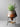 JOTO Caspian Unique Nordic Flower Pot Basin from JOTO