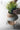 JOTO Caspian Unique Nordic Flower Pot Basin from JOTO