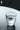 JOTO Harukaze Elegant Handmade Tree Pattern Glass Cup from JOTO