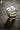 JOTO Harukaze Elegant Thermal Glass Cup from JOTO