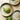 JOTO Harukaze Simple Elegant Handmade Tableware Set from JOTO