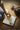 JOTO Haruki Elegant Japanese Tea Set with Stylish Drainage - Storage Pot from JOTO