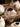 JOTO Hoshizora Rustic Elegant Pottery Vase from JOTO